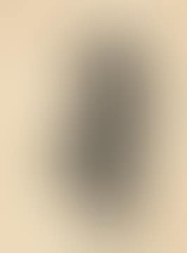 Untitled (Ballerina) (preview)