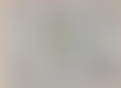 esign for Pelyn (preview)