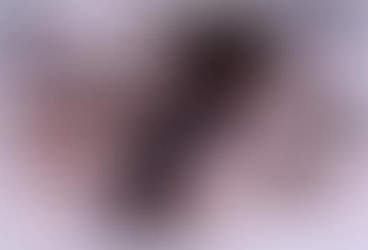 Sian 21-13A (preview)
