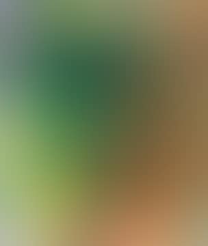 Forest (preview)