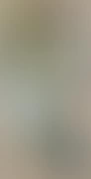 SELF PORTRAIT: NAKED (preview)
