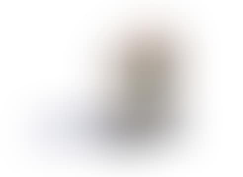 POLDU (preview)