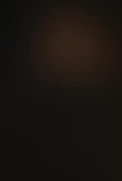 BURGLARS (preview)