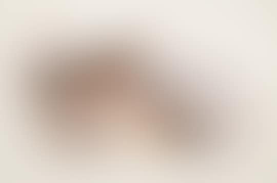 ALPINE ACCENTOR (preview)
