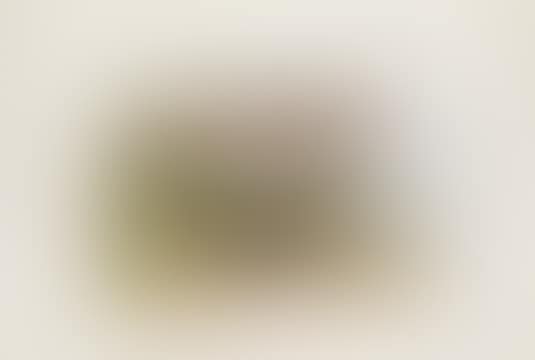 COMMON SANDPIPER (preview)