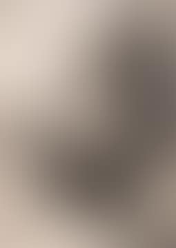 Lavards Anders (preview)