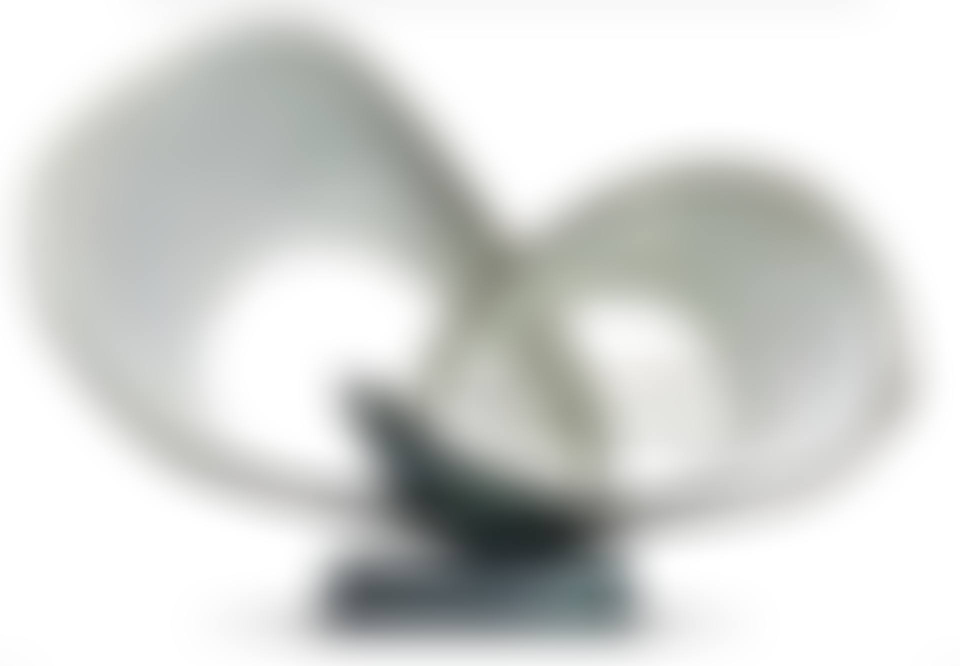 Forms in Movement (Pavan) (preview)