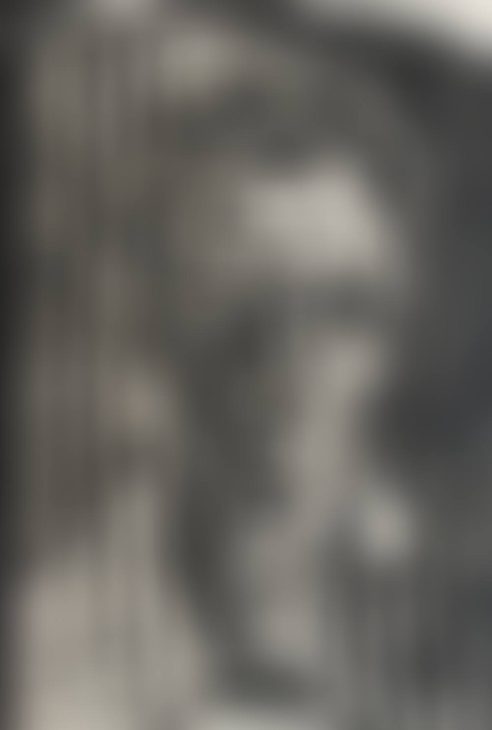 Self Portrait 14/XL (preview)