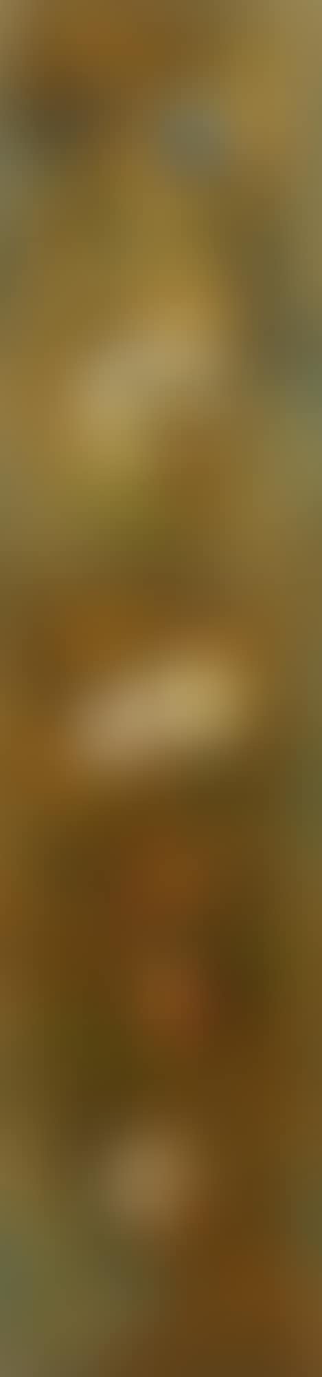 Apollo (preview)