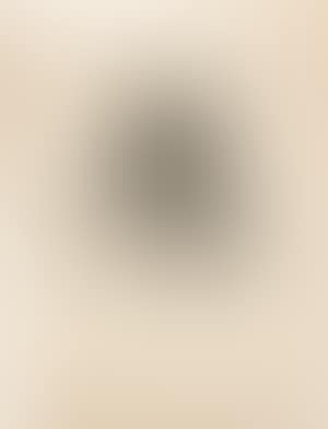 Franco. Goya y Lucientes Pintor (Self-Portrait) (preview)