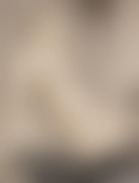 “Model 1” (preview)