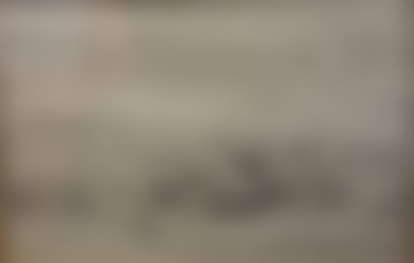 "Landscape (preview)