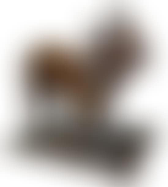 FRENCH BULLDOG Lost (preview)