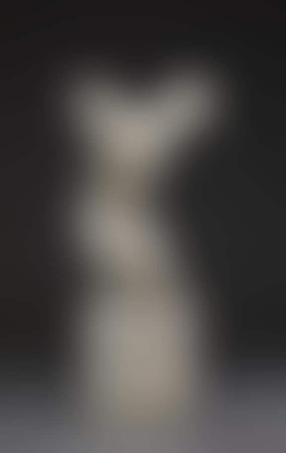 Torso (preview)