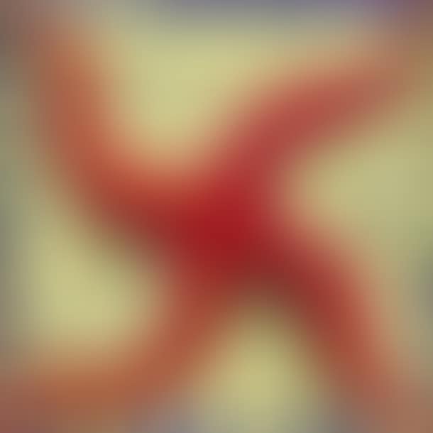 COMPOSITION (preview)