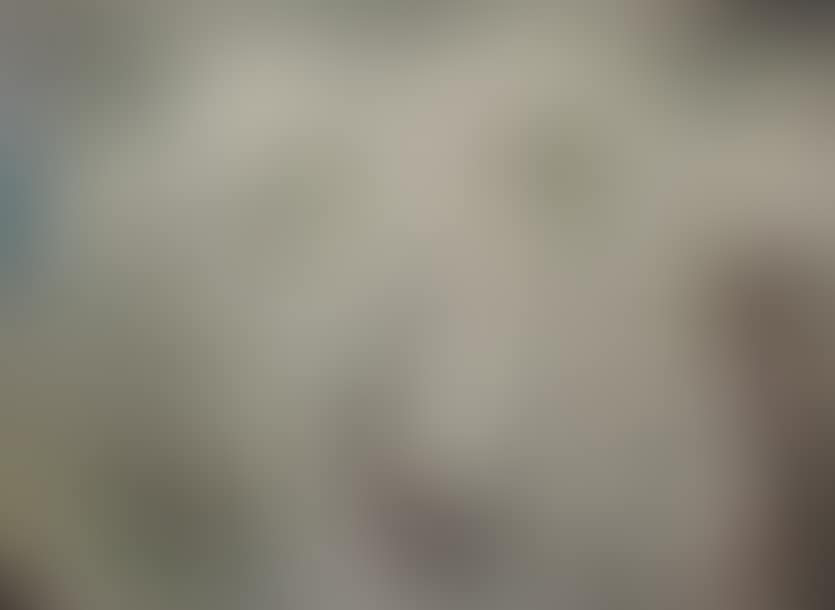 Erotic Land (preview)