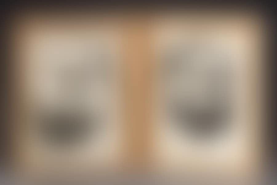 “Portraits in diptych” (preview)