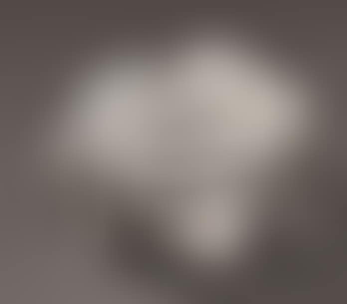 Reflection (SIC) (preview)