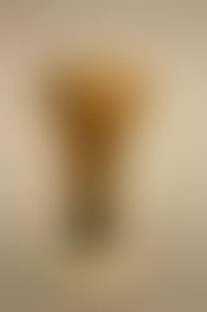 Tulip-shaped vase (preview)