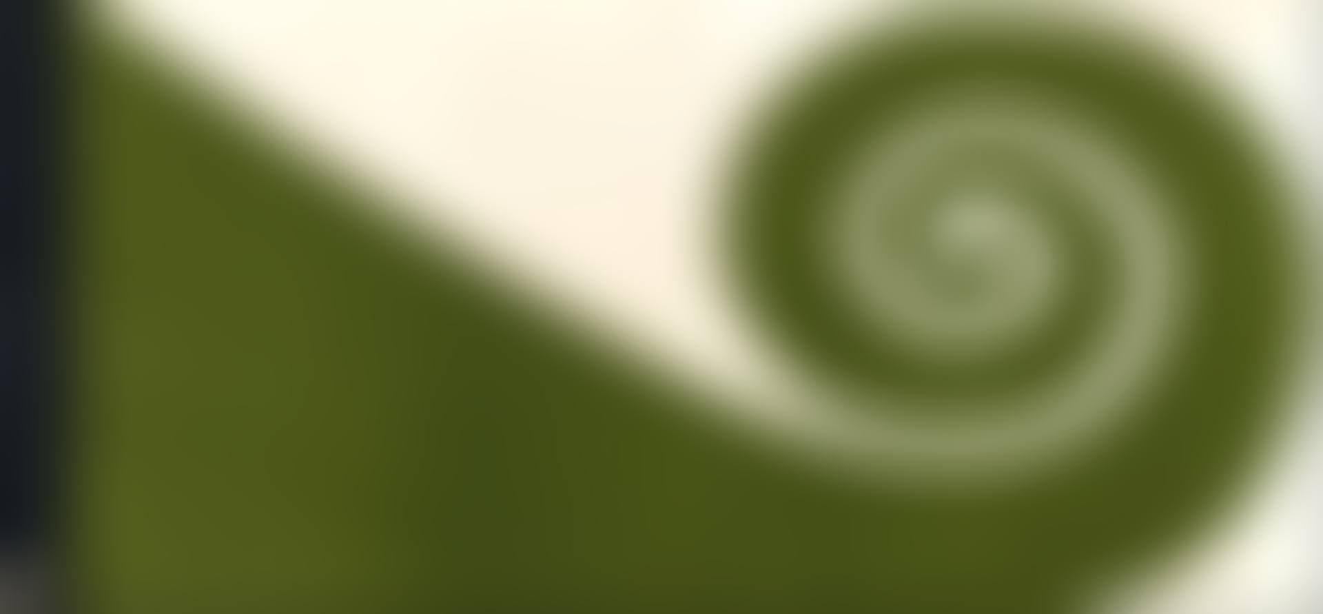 Proposal for the NZ Flag & relating ephemera (preview)