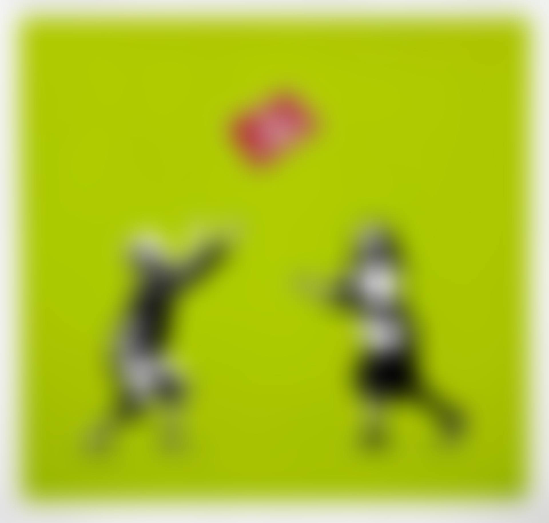 No Ball Games (Green) (preview)