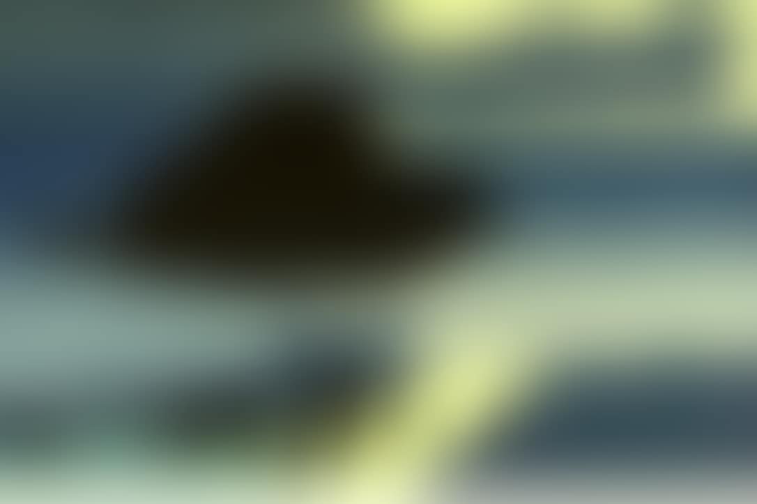 Snapper Rock with Shag (preview)