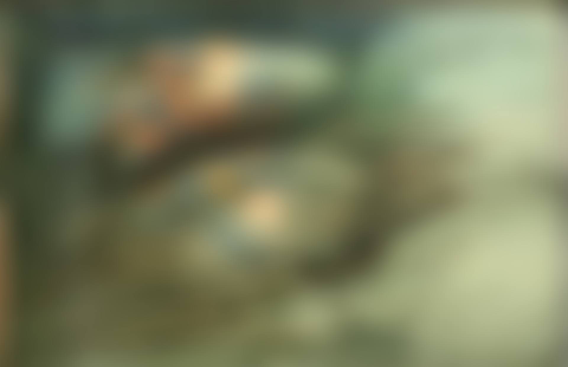Carp (preview)
