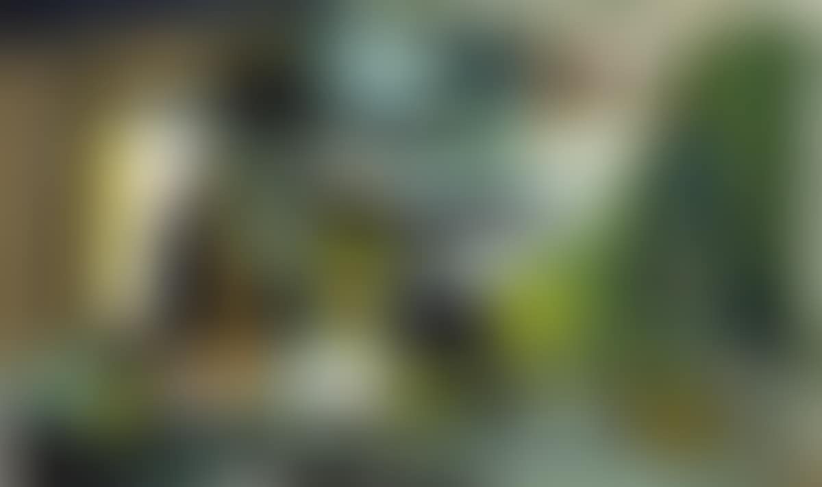 Untitled (preview)