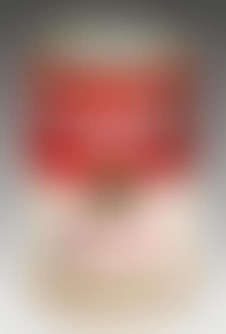 Campbell"s Tomato Soup can (object) (preview)