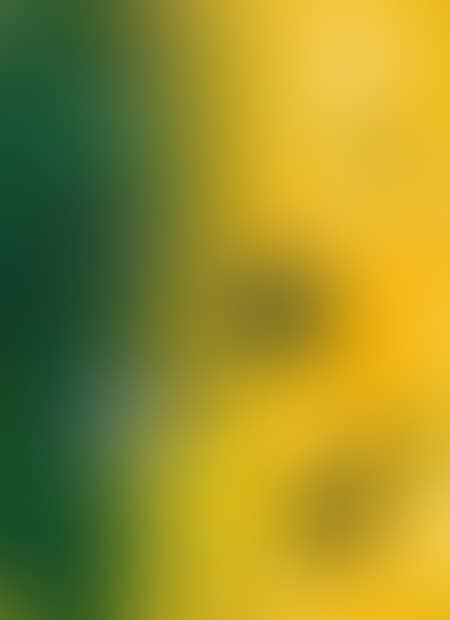 Yellow-green field (preview)