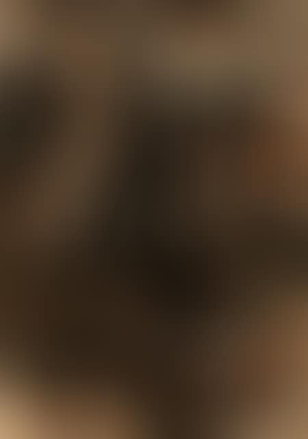 Untitled (preview)