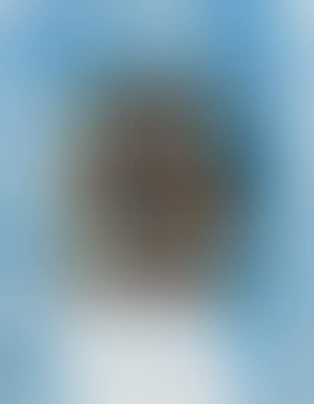 Untitled (preview)