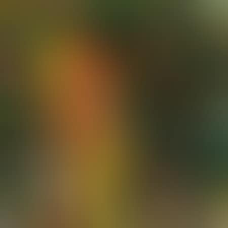 Untitled (form) (preview)