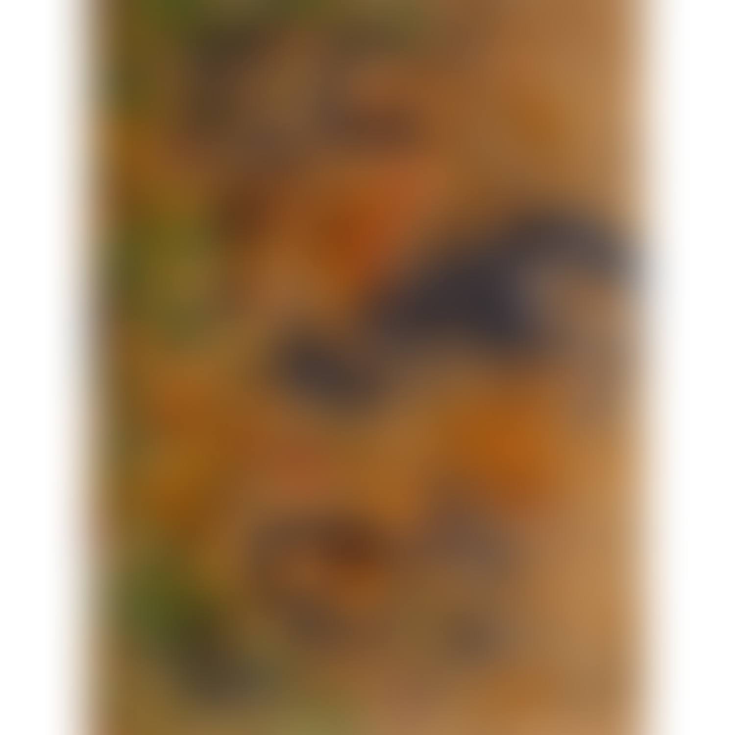 Untitled (preview)