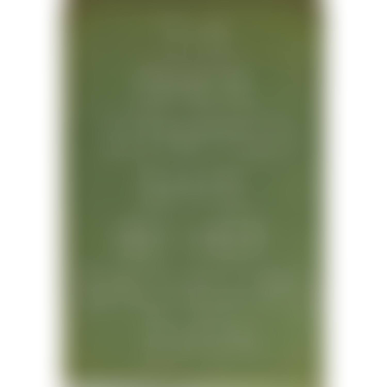The Bride Stripped Bare by her Bachelors, Even (Typographic version by Richard Hamilton of Marcel Duchamp"s green box) (preview)