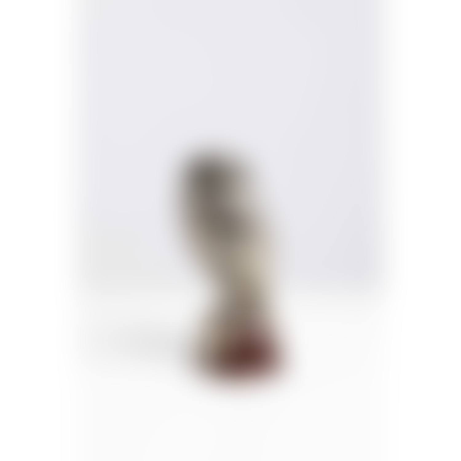 Chouette effraie (preview)