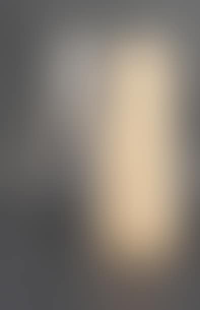 Juicy Salif (preview)