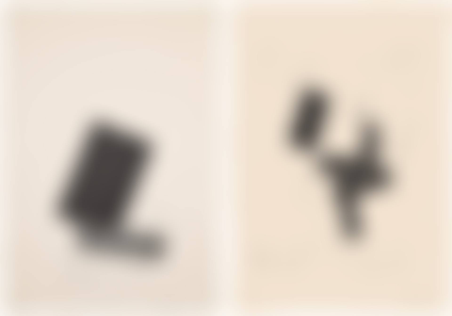 Untitled; and Untitled (preview)