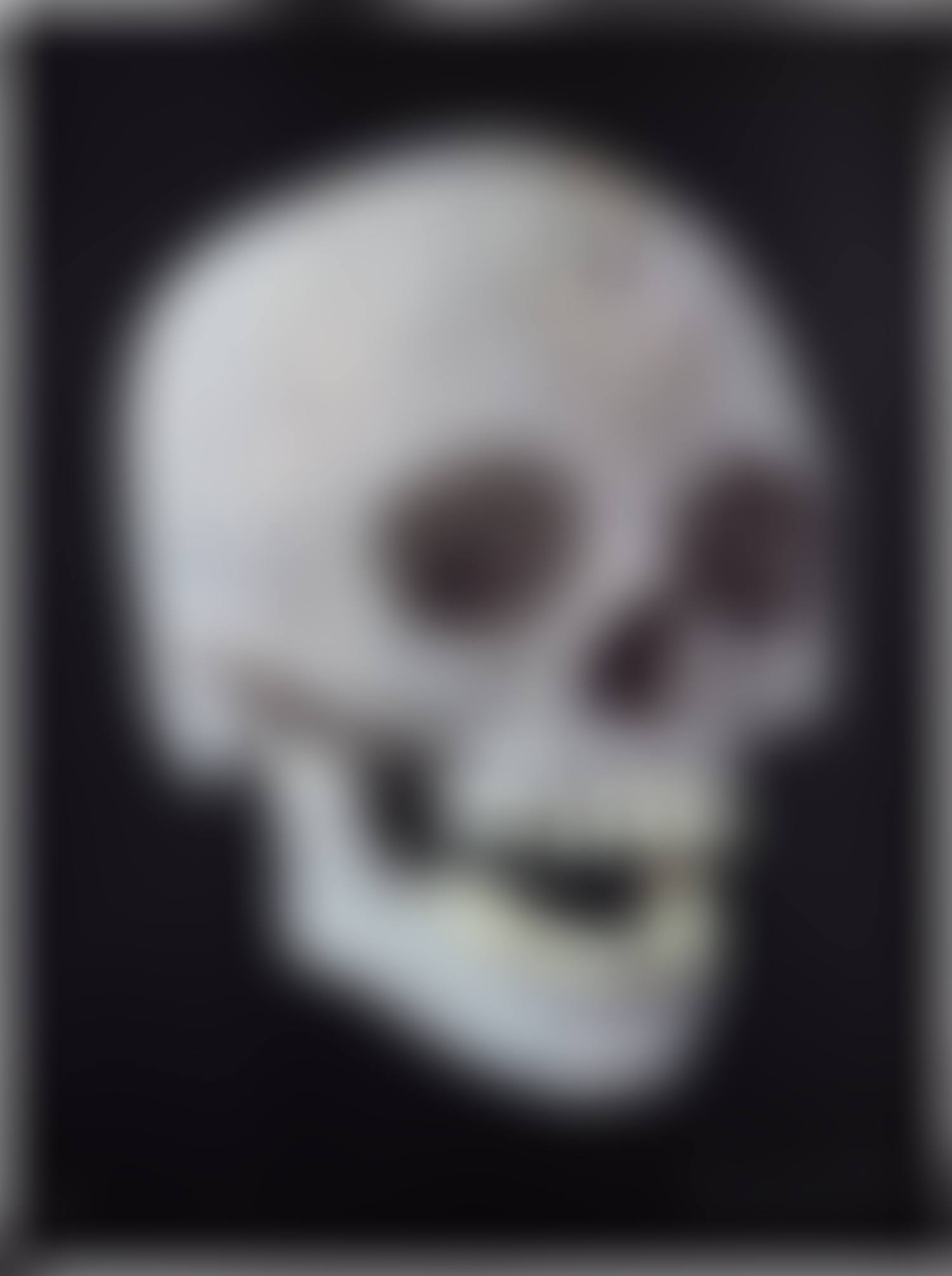 For the Love of God, the Diamond Skull (preview)