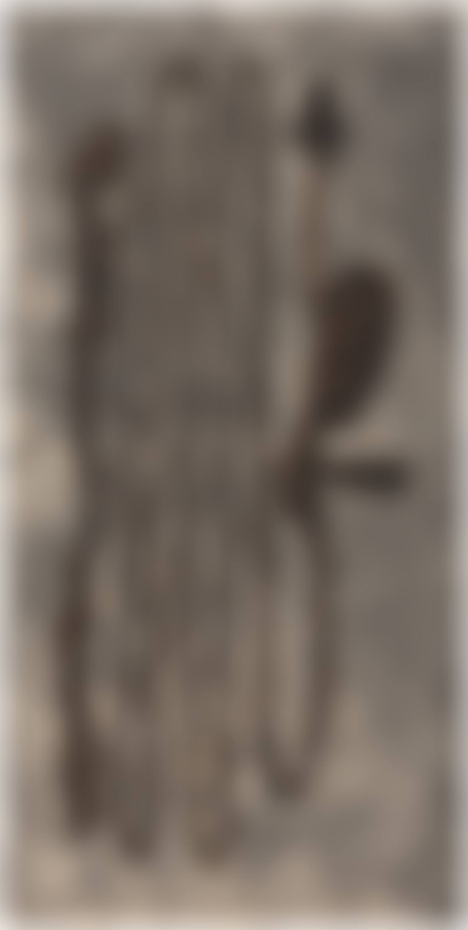 Kiki Smith 1993 (W. 27) (preview)