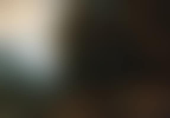 The good Samaritan (preview)
