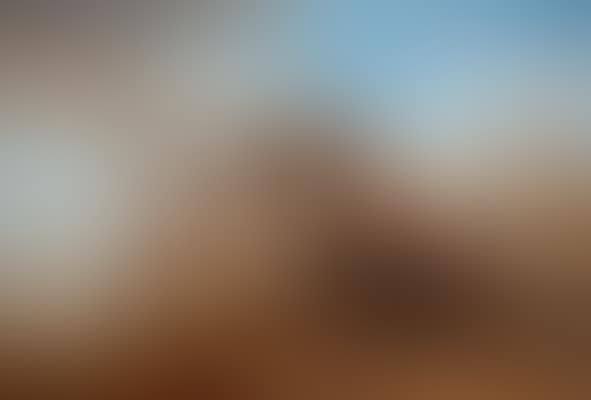 A peasant tending to a horse in the dunes (preview)