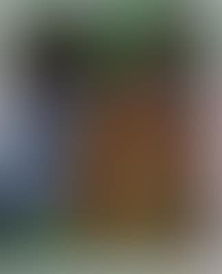 Le guitariste (preview)