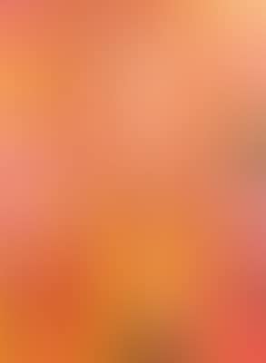 Amanda Lepore: Useless Fame, Los Angeles (preview)