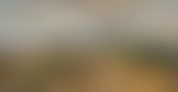 A landscape in the surroundings of Knokke (preview)