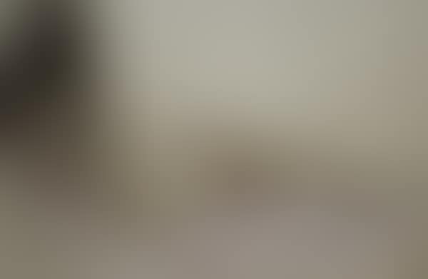 Oriental beauty (preview)