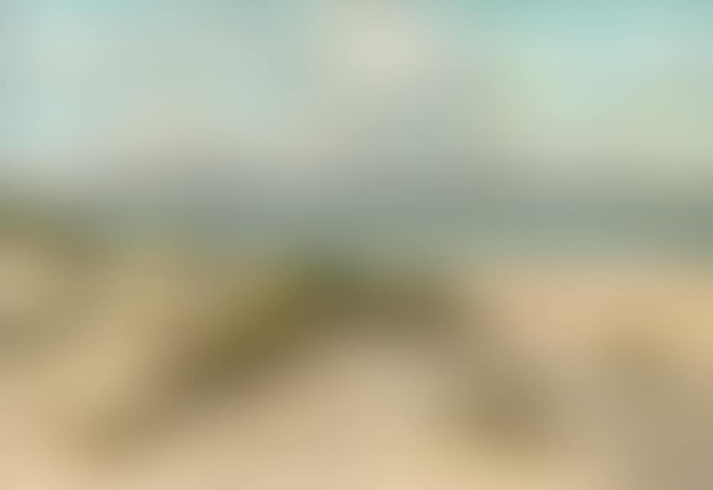 Dunes near Ahrenshoop (preview)