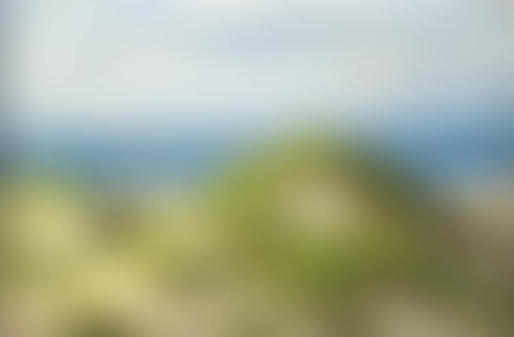 Dunes near Ahrenshoop (preview)