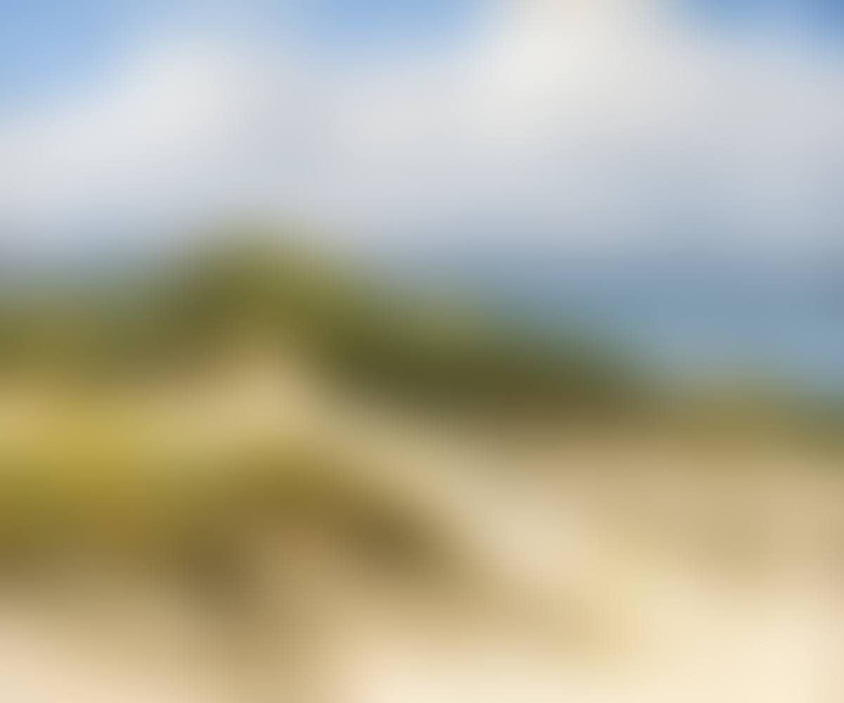 In the dunes of Ahrenshoop (preview)