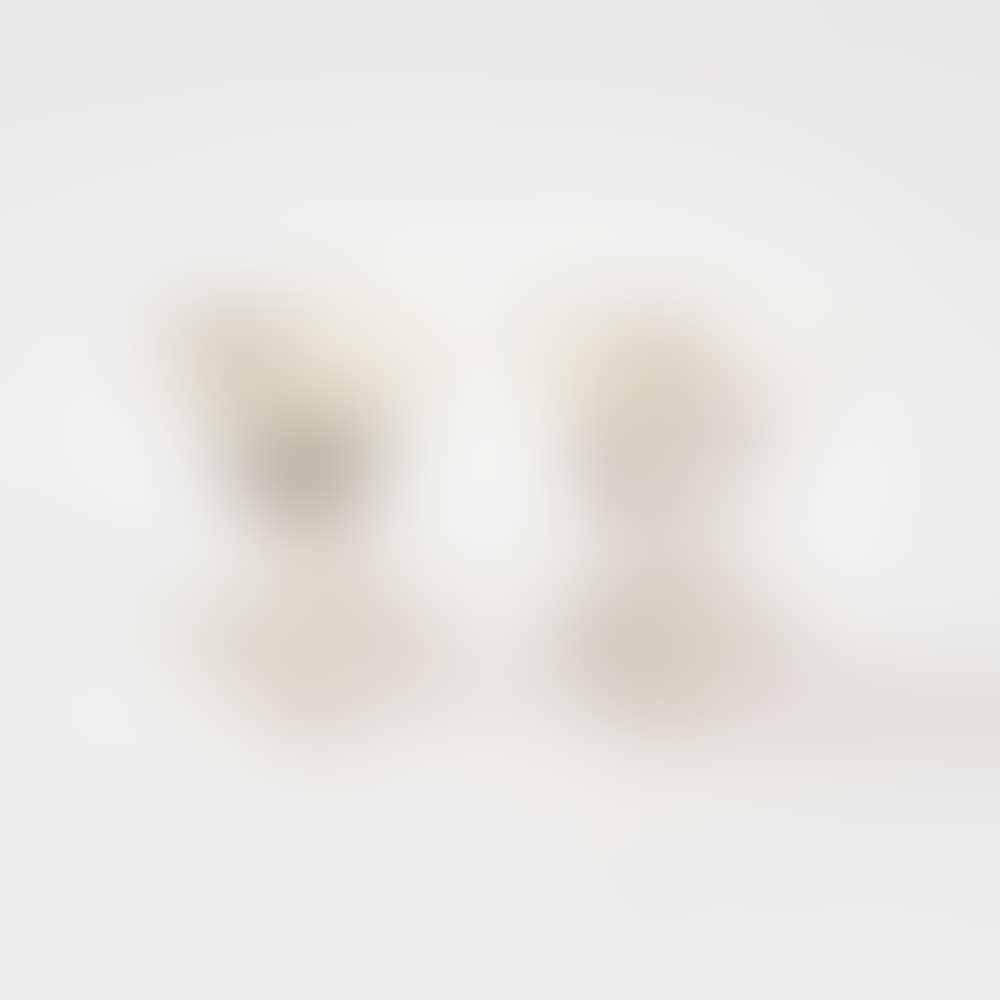 Pair of spice bowls with bird painting (preview)